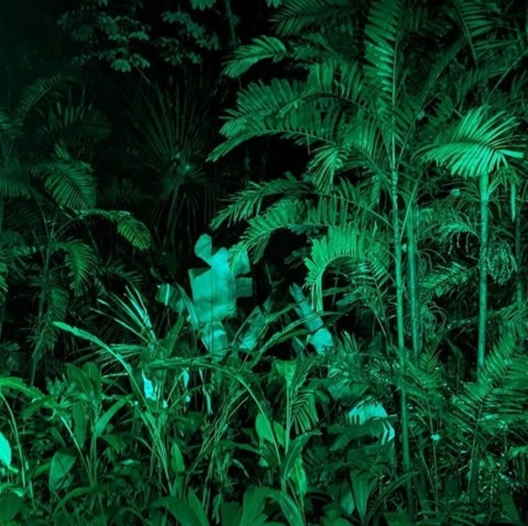 Meet your Posher, Justin - Picture 1 of 1